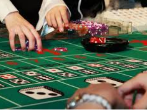 6686下载电脑免费版